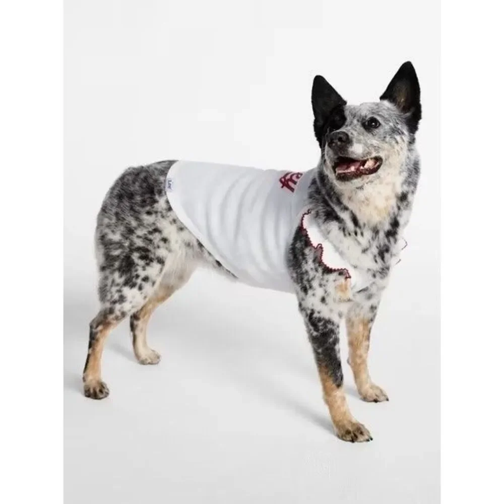Kacey Lee Ruffled Spaghetti Strap Pet Tee for Cats and Dogs, Small - 10-18 Lbs